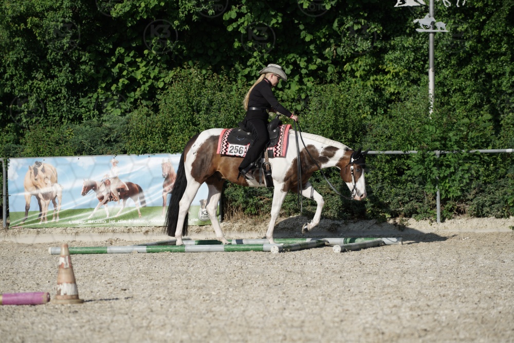 s_APF06978.jpg